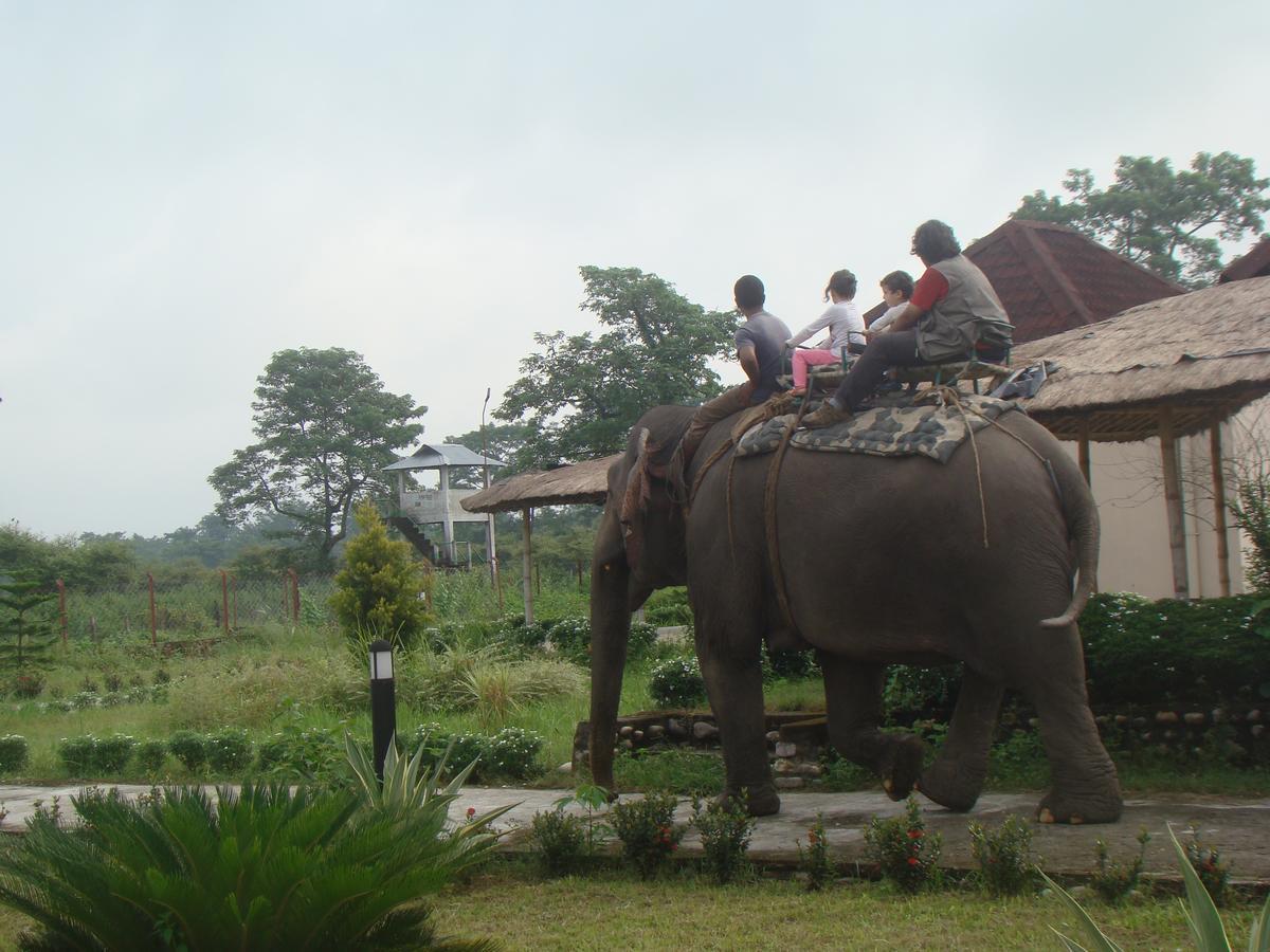 Musa Jungle Retreat Kumguri Exteriér fotografie